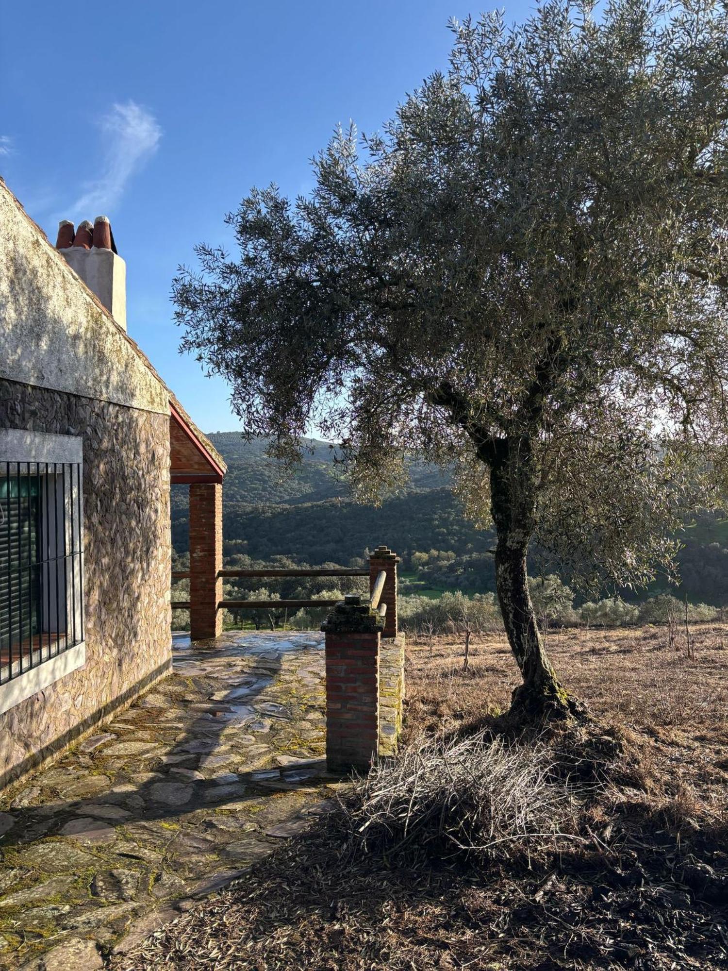 Casas Rurales Los Llanos Fuentes De Leon Екстер'єр фото